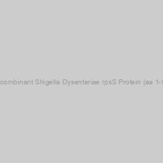 Image of Recombinant Shigella Dysenteriae rpsS Protein (aa 1-92)